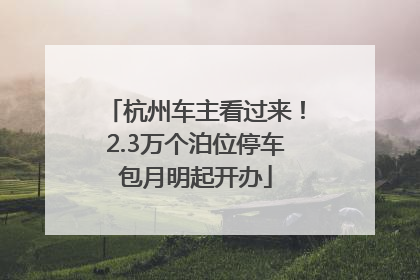 杭州车主看过来！2.3万个泊位停车包月明起开办