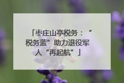 枣庄山亭税务：“税务蓝”助力退役军人“再起航”