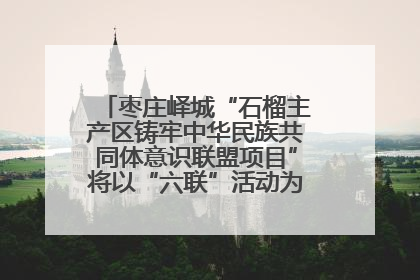 枣庄峄城“石榴主产区铸牢中华民族共同体意识联盟项目”将以“六联”活动为抓手深化品牌建设