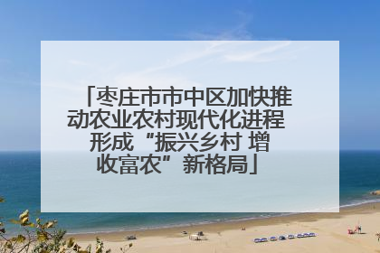 枣庄市市中区加快推动农业农村现代化进程 形成“振兴乡村 增收富农”新格局