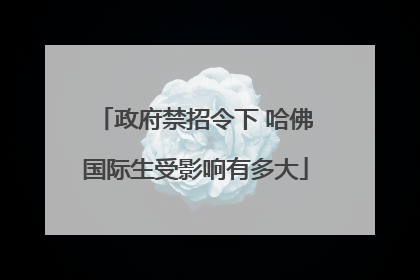 政府禁招令下 哈佛国际生受影响有多大