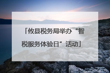 攸县税务局举办“智税服务体验日”活动