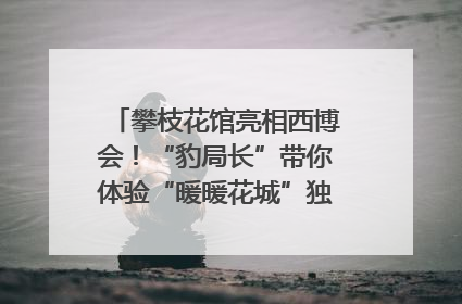 攀枝花馆亮相西博会！“豹局长”带你体验“暖暖花城”独特魅力｜西博视界