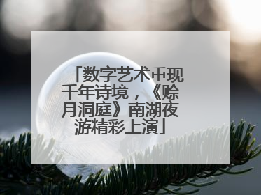 数字艺术重现千年诗境，《赊月洞庭》南湖夜游精彩上演