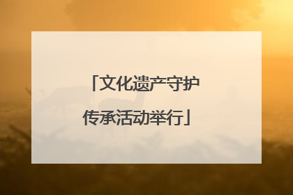 文化遗产守护传承活动举行
