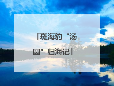 斑海豹“汤圆”归海记
