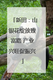 新田：山银花绽放致富路 产业兴旺促振兴