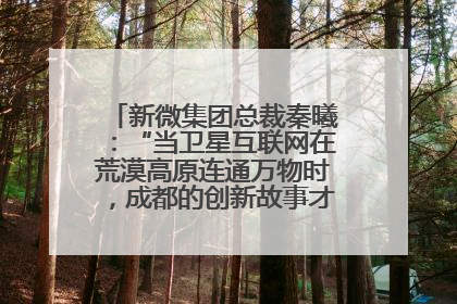 新微集团总裁秦曦：“当卫星互联网在荒漠高原连通万物时，成都的创新故事才真正开始”