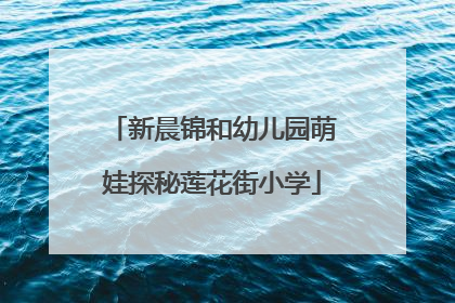 新晨锦和幼儿园萌娃探秘莲花街小学