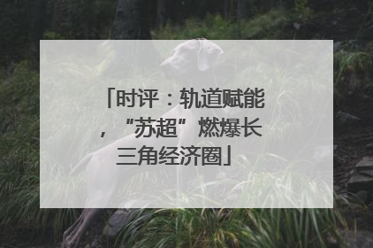时评：轨道赋能，“苏超”燃爆长三角经济圈