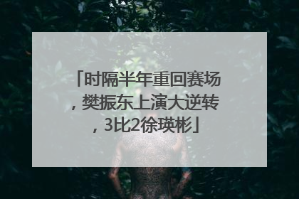 时隔半年重回赛场，樊振东上演大逆转，3比2徐瑛彬