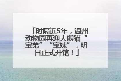 时隔近5年，温州动物园再迎大熊猫“宝弟”“宝妹”，明日正式开馆！
