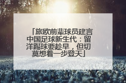 旅欧前辈球员建言中国足球新生代：留洋踢球要趁早，但切莫想着一步登天