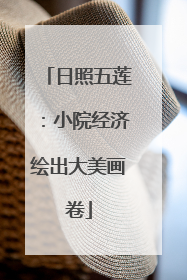 日照五莲：小院经济绘出大美画卷