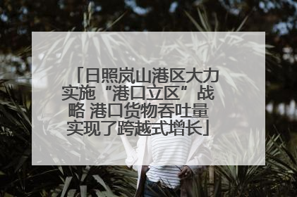 日照岚山港区大力实施“港口立区”战略 港口货物吞吐量实现了跨越式增长