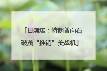 日媒爆：特朗普向石破茂“推销”美战机