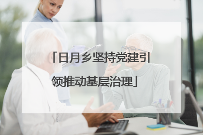 日月乡坚持党建引领推动基层治理