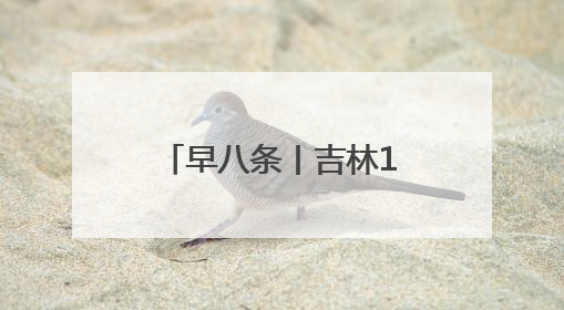 早八条丨吉林123575名考生奔赴高考考场