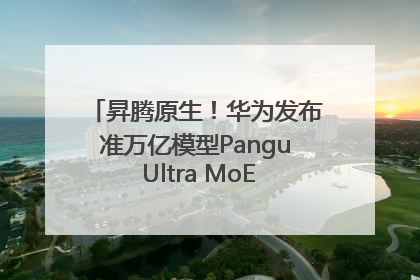 昇腾原生！华为发布准万亿模型Pangu Ultra MoE模型架构和训练细节