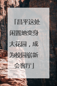 昌平这处闲置地变身大花园，成为校园崭新会客厅