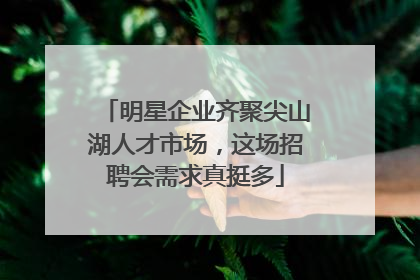 明星企业齐聚尖山湖人才市场，这场招聘会需求真挺多