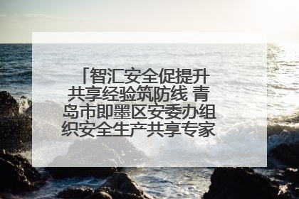 智汇安全促提升 共享经验筑防线 青岛市即墨区安委办组织安全生产共享专家现场观摩学习活动