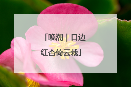 晚潮｜日边红杏倚云栽