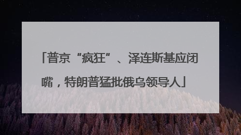 普京“疯狂”、泽连斯基应闭嘴，特朗普猛批俄乌领导人
