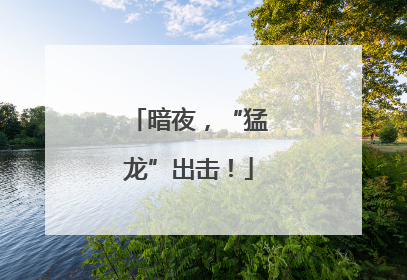 暗夜，“猛龙”出击！