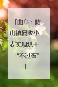 曲阜：防山镇夏收小麦实现烘干“不过夜”