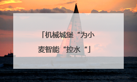 机械城堡“为小麦智能“控水“