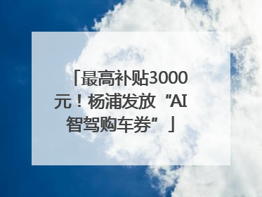 最高补贴3000元！杨浦发放“AI智驾购车券”