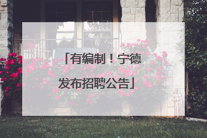 有编制！宁德发布招聘公告