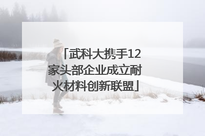 武科大携手12家头部企业成立耐火材料创新联盟