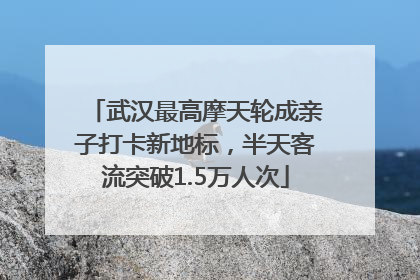 武汉最高摩天轮成亲子打卡新地标，半天客流突破1.5万人次