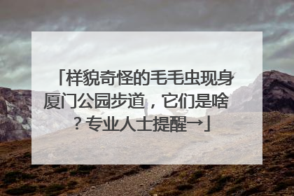 样貌奇怪的毛毛虫现身厦门公园步道，它们是啥？专业人士提醒→