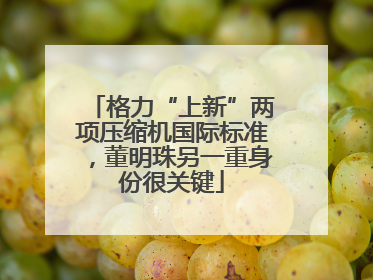 格力“上新”两项压缩机国际标准，董明珠另一重身份很关键