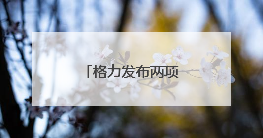 格力发布两项压缩机国际标准，董明珠发声