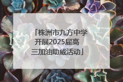 株洲市九方中学开展2025届高三加油助威活动