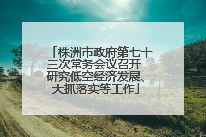 株洲市政府第七十三次常务会议召开 研究低空经济发展、大抓落实等工作