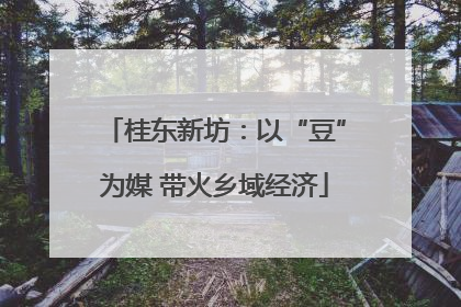 桂东新坊：以“豆”为媒 带火乡域经济