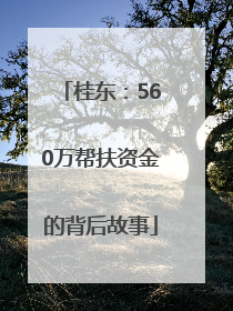 桂东：560万帮扶资金的背后故事