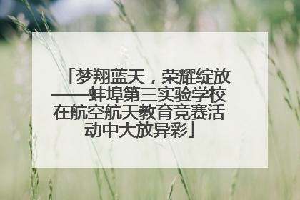 梦翔蓝天，荣耀绽放——蚌埠第三实验学校在航空航天教育竞赛活动中大放异彩
