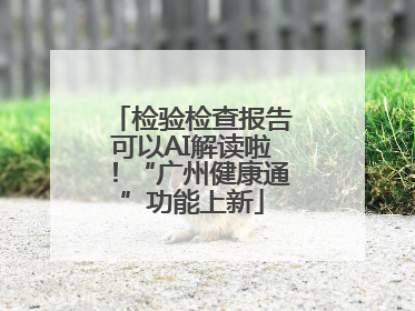 检验检查报告可以AI解读啦！“广州健康通”功能上新