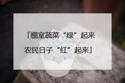 棚室蔬菜“绿”起来 农民日子“红”起来