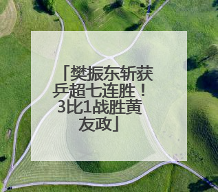 樊振东斩获乒超七连胜！3比1战胜黄友政