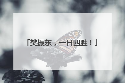樊振东，一日四胜！
