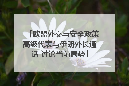 欧盟外交与安全政策高级代表与伊朗外长通话 讨论当前局势