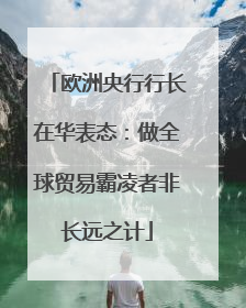 欧洲央行行长在华表态：做全球贸易霸凌者非长远之计