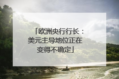 欧洲央行行长：美元主导地位正在变得不确定